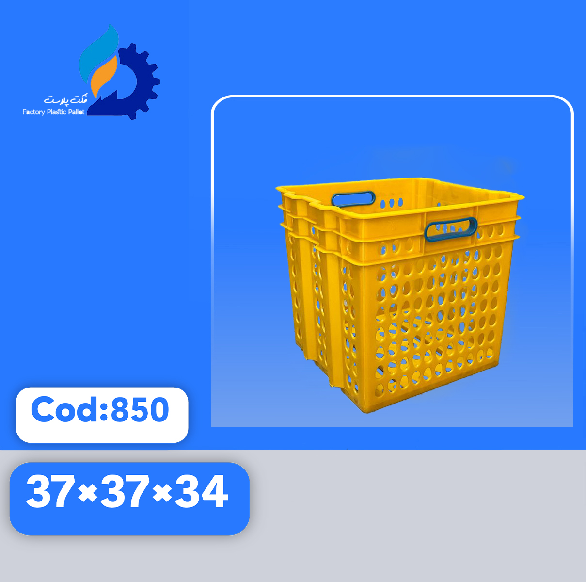سبد حمل تخم مرغ کد 850